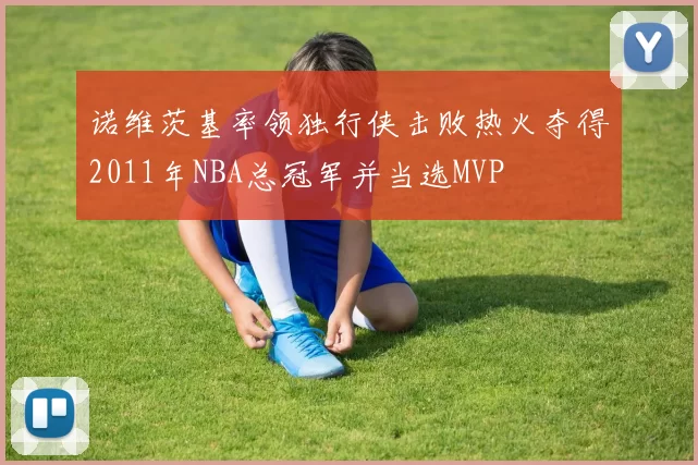 诺维茨基率领独行侠击败热火夺得2011年NBA总冠军并当选MVP