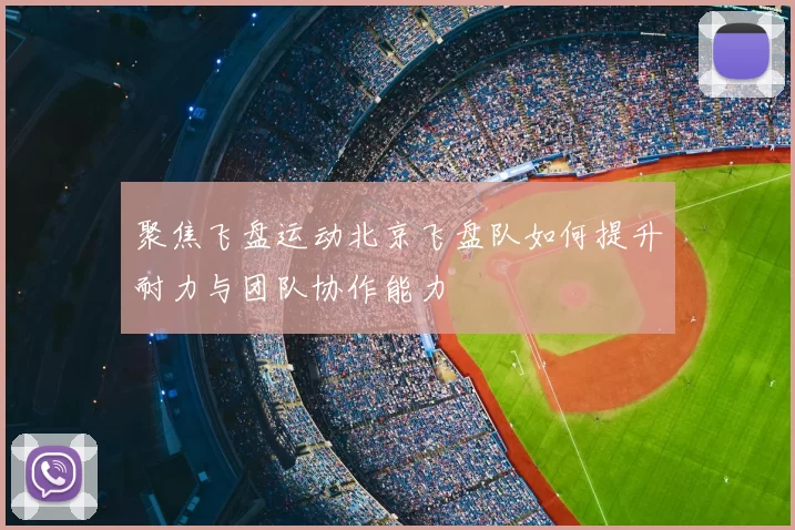 聚焦飞盘运动北京飞盘队如何提升耐力与团队协作能力