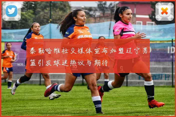 泰勒哈维社交媒体宣布加盟辽宁男篮引发球迷热议与期待