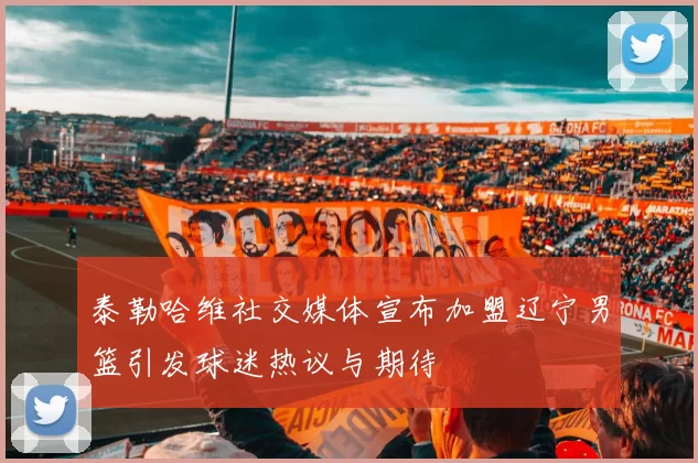 泰勒哈维社交媒体宣布加盟辽宁男篮引发球迷热议与期待