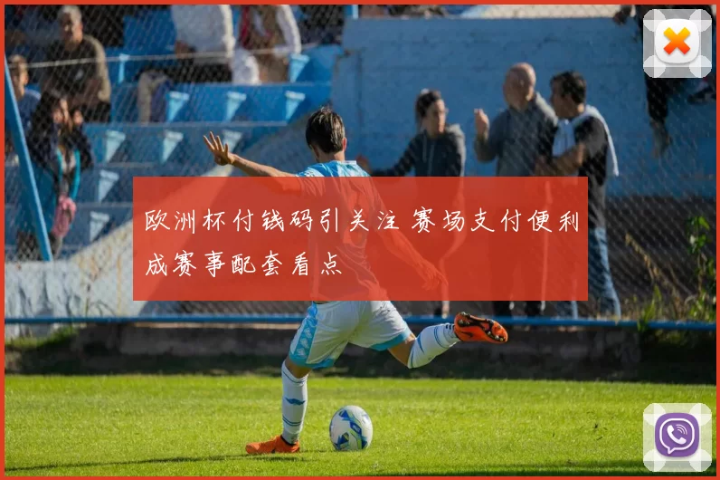 欧洲杯付钱码引关注 赛场支付便利成赛事配套看点