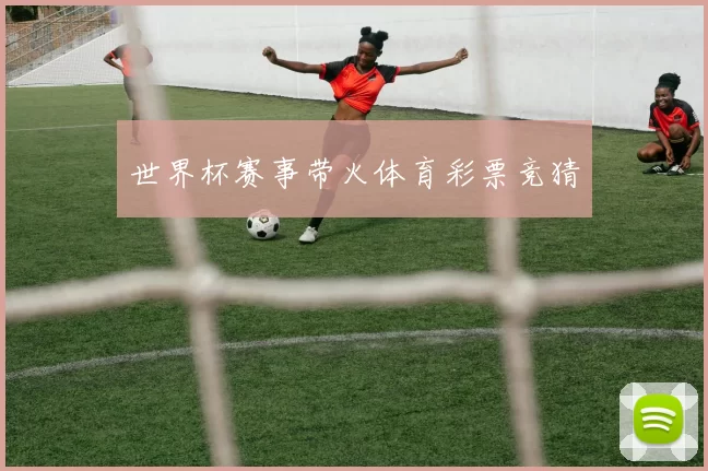 世界杯赛事带火体育彩票竞猜