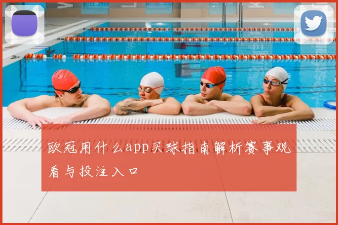 欧冠用什么app买球指南解析赛事观看与投注入口
