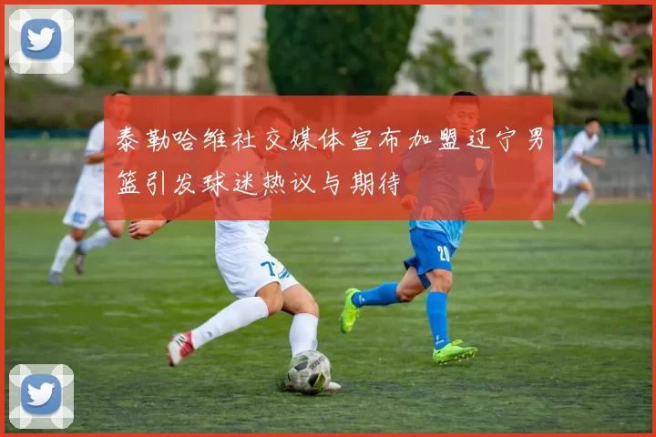 泰勒哈维社交媒体宣布加盟辽宁男篮引发球迷热议与期待