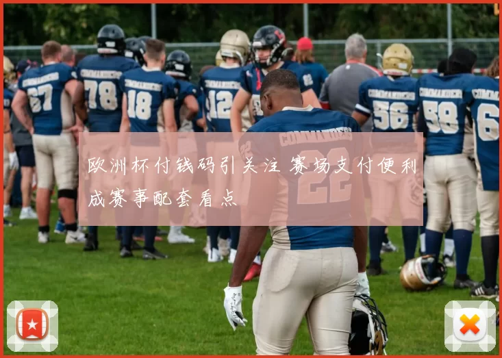 欧洲杯付钱码引关注 赛场支付便利成赛事配套看点