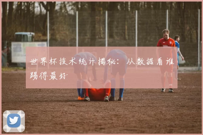 世界杯技术统计揭秘:从数据看谁踢得最好