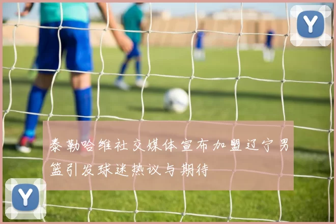 泰勒哈维社交媒体宣布加盟辽宁男篮引发球迷热议与期待