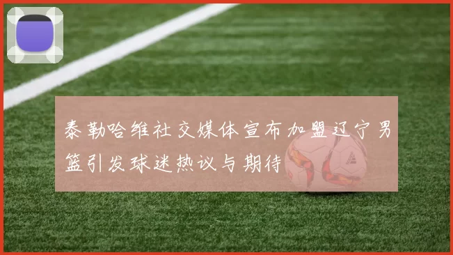 泰勒哈维社交媒体宣布加盟辽宁男篮引发球迷热议与期待