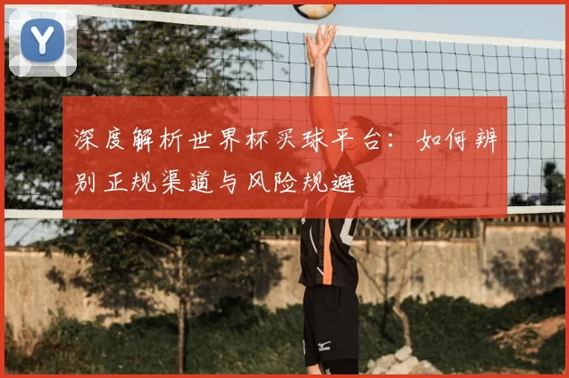 深度解析世界杯买球平台:如何辨别正规渠道与风险规避