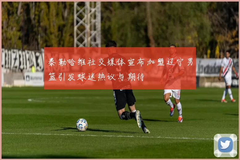 泰勒哈维社交媒体宣布加盟辽宁男篮引发球迷热议与期待
