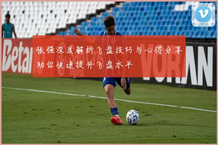 张强深度解析飞盘技巧与心得分享助你快速提升飞盘水平