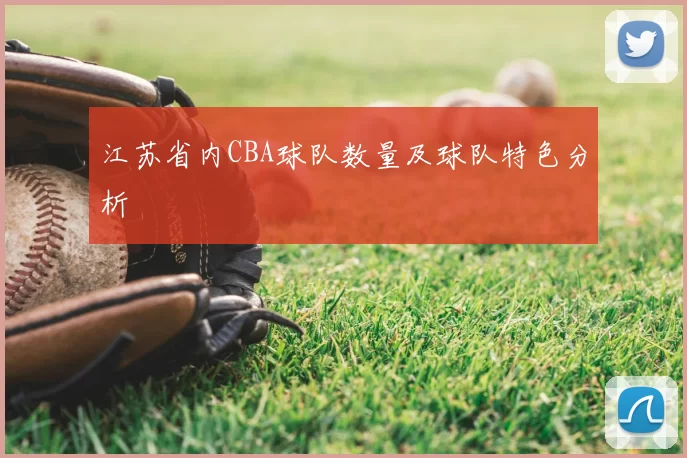 江苏省内CBA球队数量及球队特色分析