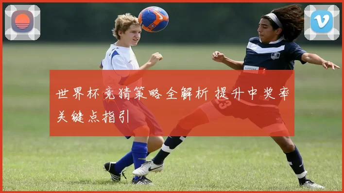 世界杯竞猜策略全解析 提升中奖率关键点指引