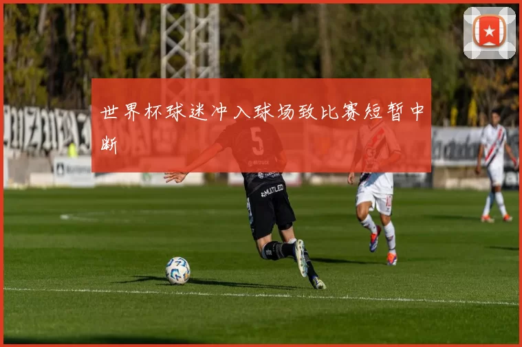 世界杯球迷冲入球场致比赛短暂中断