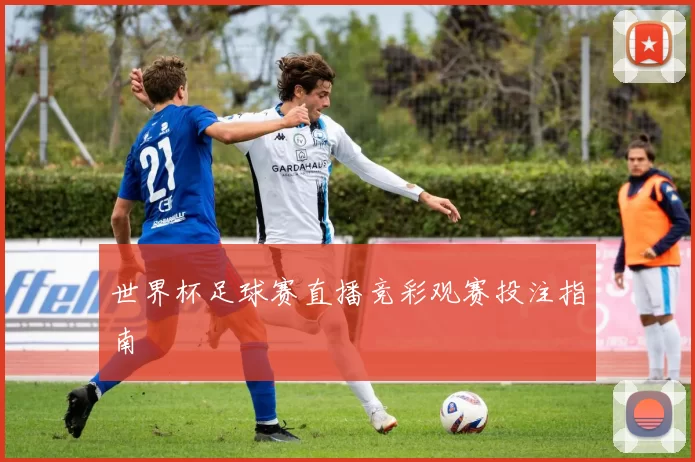 世界杯足球赛直播竞彩观赛投注指南