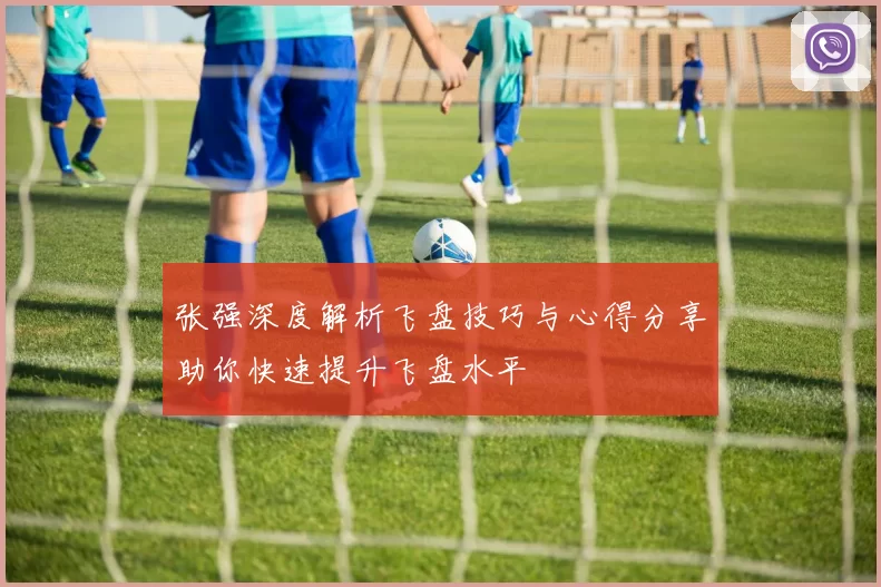 张强深度解析飞盘技巧与心得分享助你快速提升飞盘水平