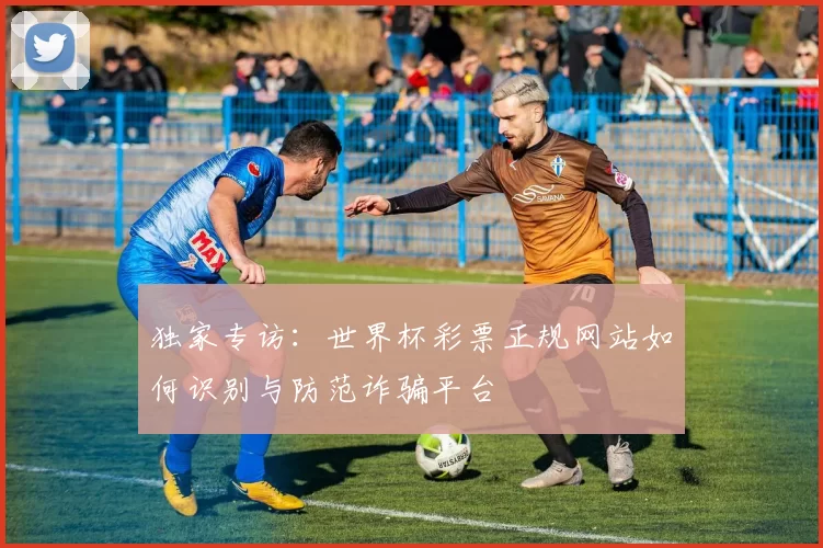 独家专访:世界杯彩票正规网站如何识别与防范诈骗平台