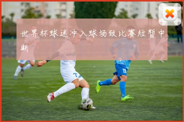 世界杯球迷冲入球场致比赛短暂中断