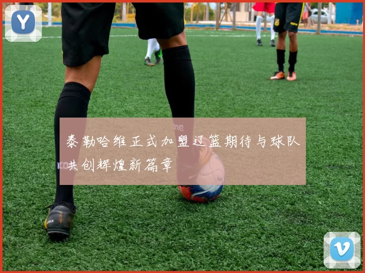 泰勒哈维正式加盟辽篮期待与球队共创辉煌新篇章