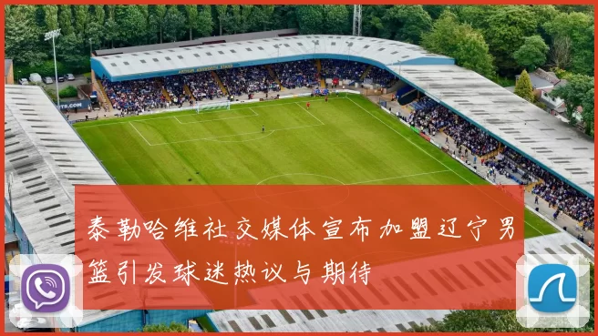 泰勒哈维社交媒体宣布加盟辽宁男篮引发球迷热议与期待