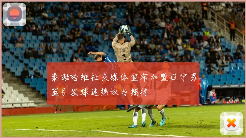 泰勒哈维社交媒体宣布加盟辽宁男篮引发球迷热议与期待