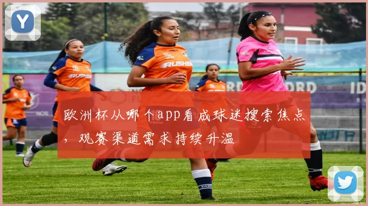 欧洲杯从哪个app看成球迷搜索焦点,观赛渠道需求持续升温
