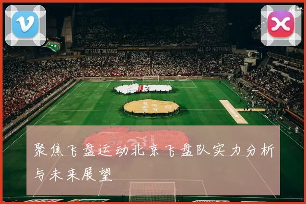 聚焦飞盘运动北京飞盘队实力分析与未来展望